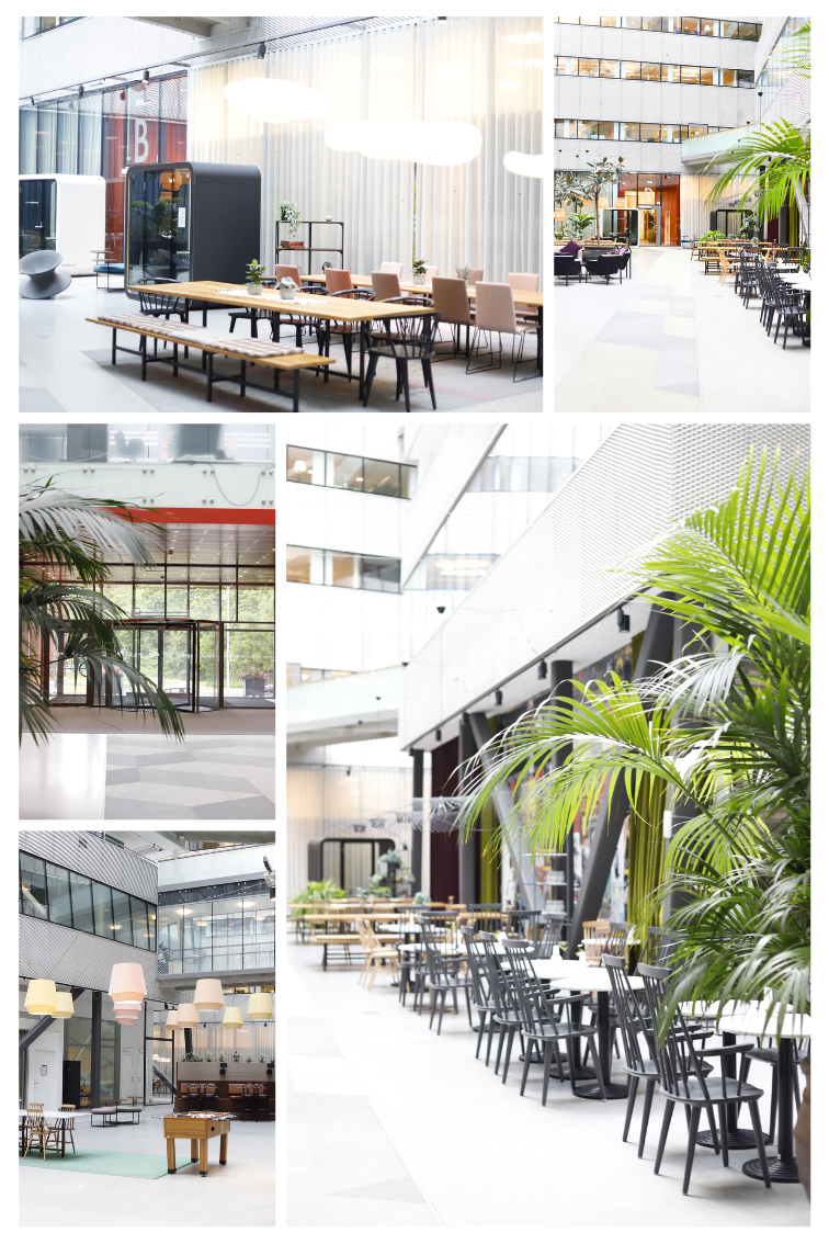 Canva Design DAGv8TMK_CA